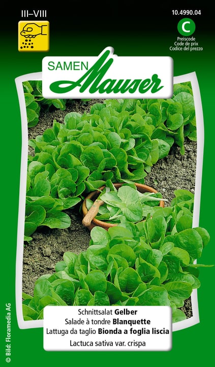 Image of Samen Mauser Schnittsalat Gelber Gemüsesamen