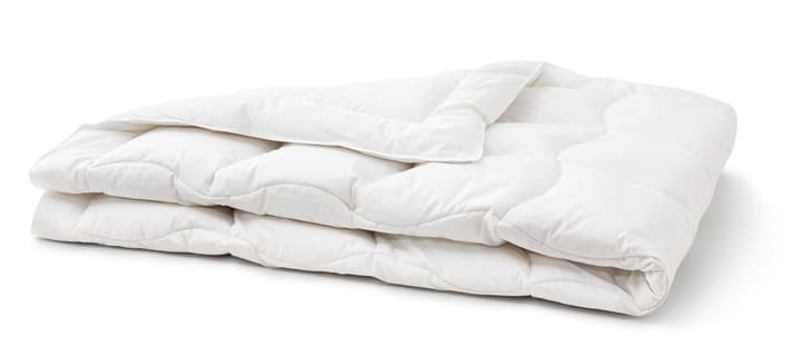 SANADAUN MEDIUM WARM Piumino di ottima qualità SANADAUN MEDIUM WARM Piumino di ottima qualità 451747612310 Colore Bianco Dimensioni L: 160.0 cm x P: 210.0 cm N. figura 1