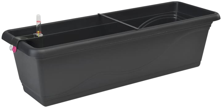 Plastkon Blumenkasten mit Bewässerungssystem kaufen bei Do it + Garden