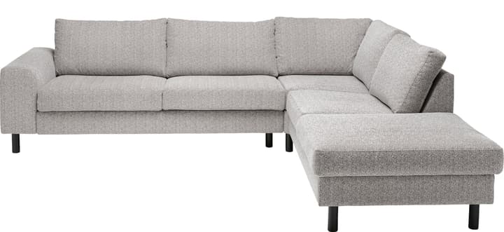 DIENER Ecksofa DIENER Ecksofa 405740500000 Farbe Grau Grösse B: 277.0 cm x T: 220.0 cm x H: 82.0 cm Bild Nr. 1