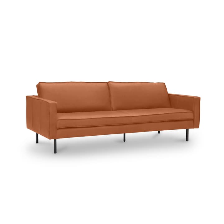TEXADA canapé en cuir à 3.5 places TEXADA canapé en cuir à 3.5 places 360020228610 Dimensions L: 211.0 cm x P: 95.0 cm x H: 61.0 cm Couleur Tobacco Photo no. 1