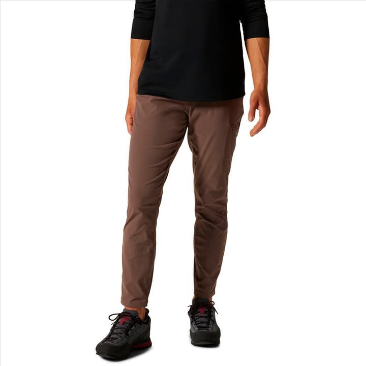 Image of Mountain Hardwear W Dynama/2 Ankle Trekkinghose braun
