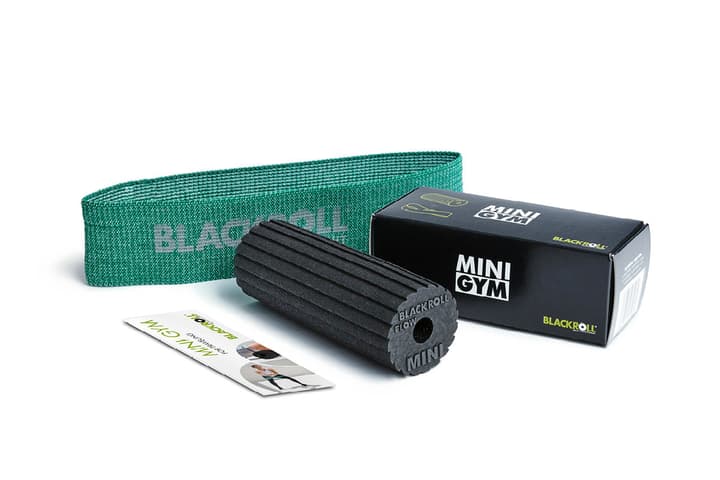 Image of Blackroll Mini Gym Set Faszienrolle