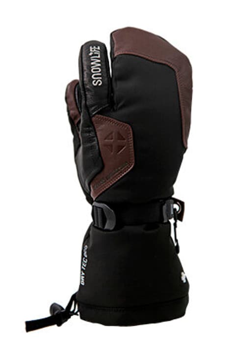 Image of Snowlife Capricorn DT 3 Finger Skihandschuhe schwarz