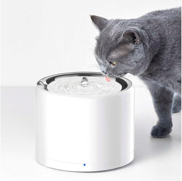 PETKIT Eversweet fontaine à boire sans fil Accessoires pour chats