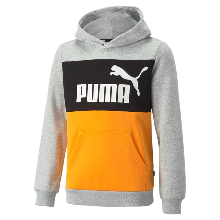 Image of Puma Ess+ Colorblock Hoodie FL B Hoodie mehrfarbig bei Migros SportXX