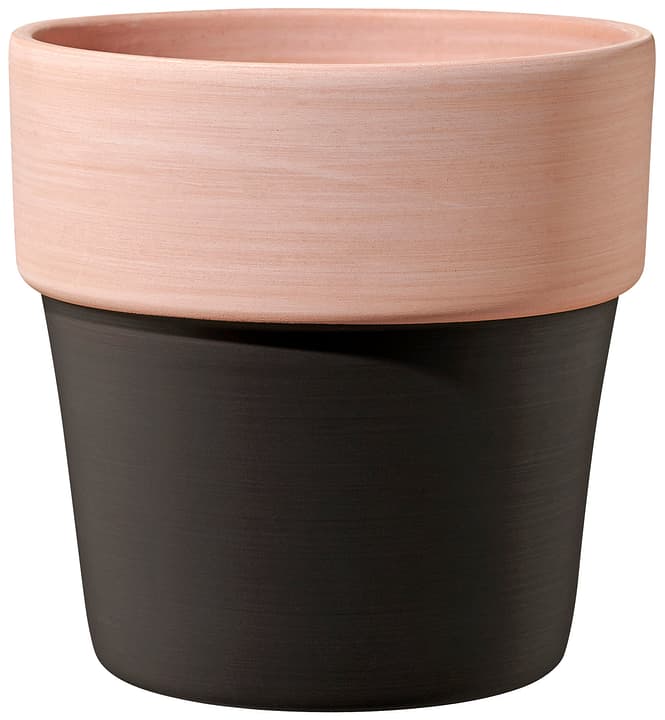 Image of Soendgen Lissabon Übertopf bei Do it + Garden von Migros