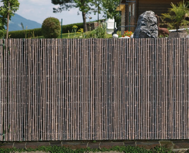 Image of Windhager Sichtschutzmatte Ontake bei Do it + Garden von Migros