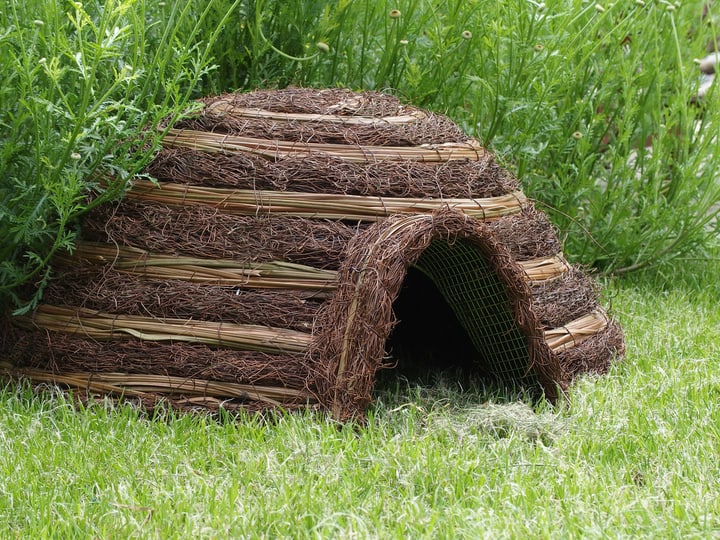 Casa riccio Igloo 59x53x22cm Casa riccio Igloo 59x53x22cm 647267300000 N. figura 1