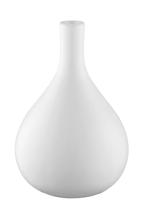 ROSALIE Vase ROSALIE Vase 440645800000 Photo no. 1