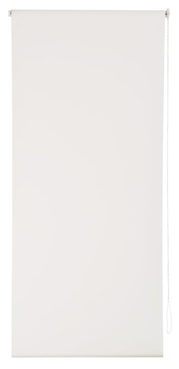 POLAR Store enrouleur POLAR Store enrouleur 430744814210 Couleur Blanc Dimensions L: 142.0 cm x H: 185.0 cm Photo no. 1
