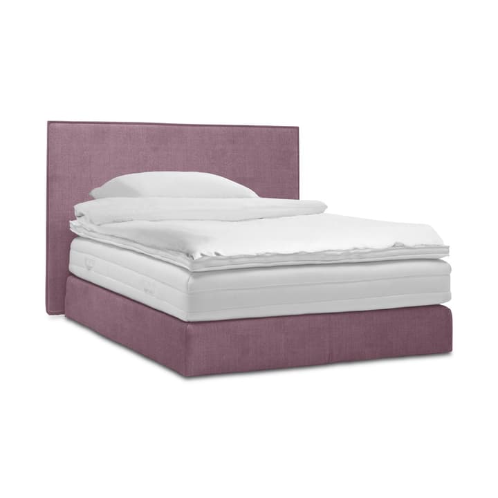 GRACE Boxspringbett GRACE Boxspringbett 364295300000 Grösse B: 200.0 cm x T: 160.0 cm Farbe Lila Bild Nr. 1