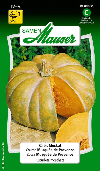 Image of Samen Mauser Kürbis Muskat Gemüsesamen bei Do it + Garden von Migros
