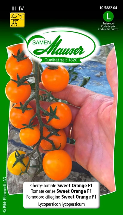 Image of Samen Mauser Cherrytomate Sweet Orange F1 Gemüsesamen