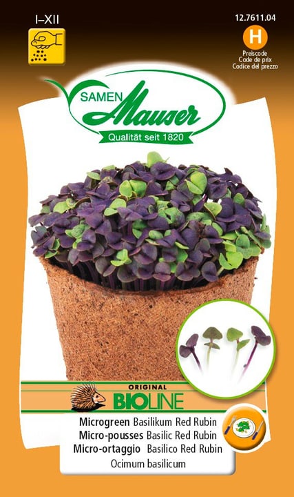 Image of Samen Mauser BIO-Microgreen Basilikum Red Rubin Microgreen