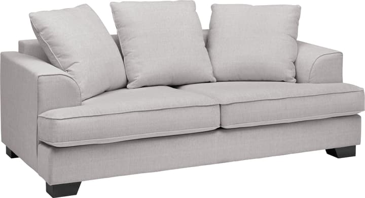 THIELMANN Canapé 2.5 places THIELMANN Canapé 2.5 places 405745400000 Couleur Gris clair Dimensions L: 199.0 cm x P: 103.0 cm x H: 87.0 cm Photo no. 1