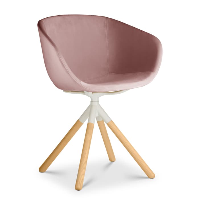SEDIA Chaise avec accoudoirs SEDIA Chaise avec accoudoirs 366166600000 Photo no. 1