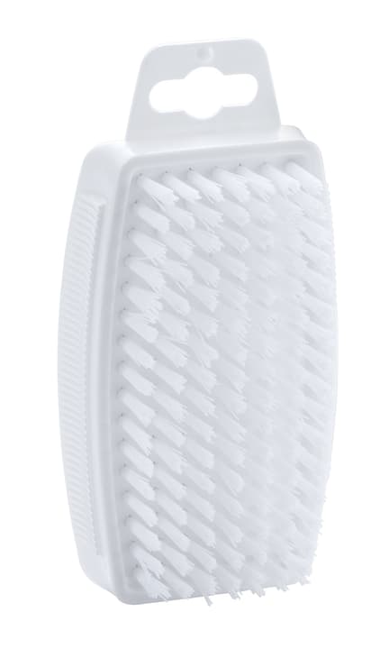 Image of Handwaschbürste bei Do it + Garden von Migros