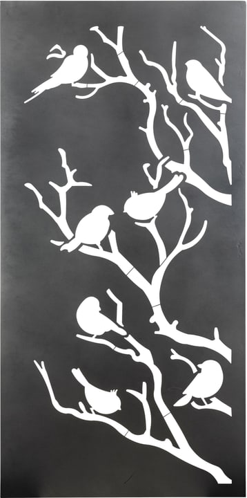 Nouvel Schermo «Birdie», 200 x 100 cm, antracite