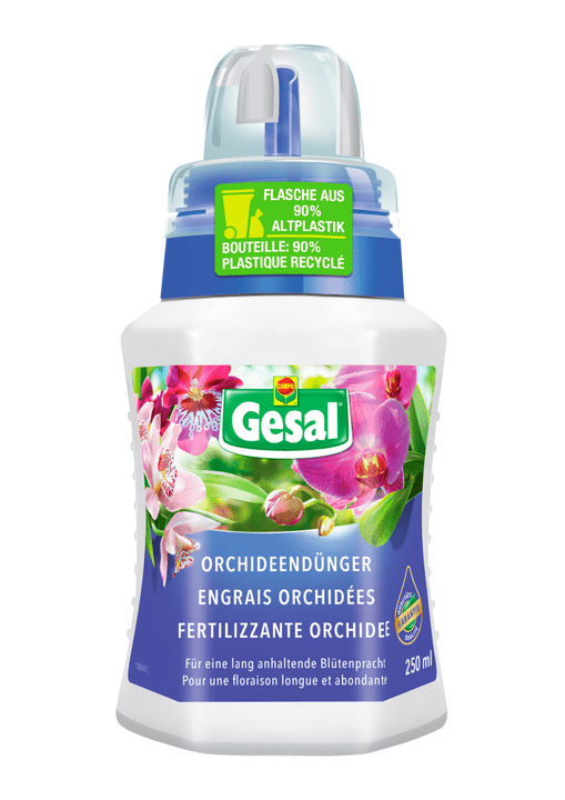 Image of Compo Gesal Orchideendünger, 250 ml Flüssigdünger bei Do it + Garden von Migros