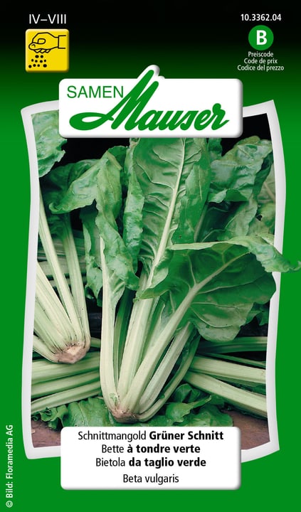 Image of Samen Mauser Schnittmangold Grüner Schnitt Gemüsesamen bei Do it + Garden von Migros
