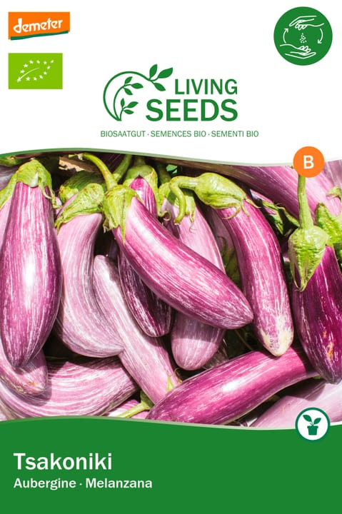 Image of Living Seeds Aubergine, Tsaloniki Gemüsesamen bei Do it + Garden von Migros