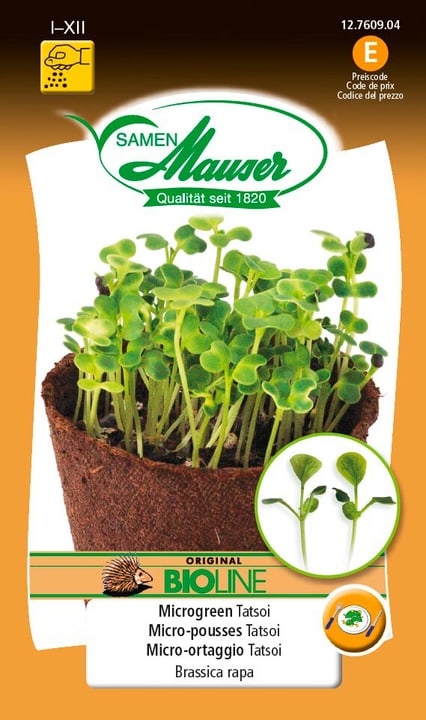 Image of Samen Mauser BIO-Microgreen Tatsoi Microgreen