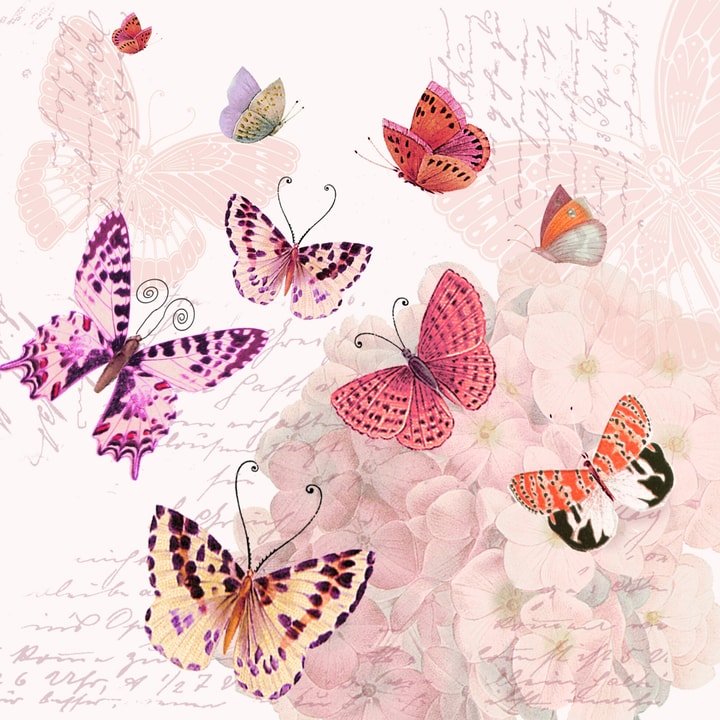 Feldner + Partner Butterfly Romance Serviettes