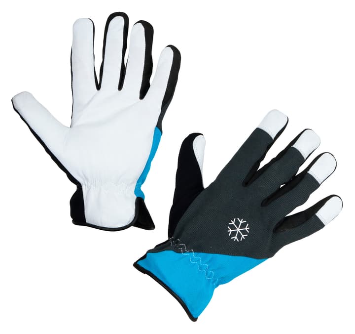 Image of Keron POLARTEX Winterhandschuhe bei Do it + Garden von Migros