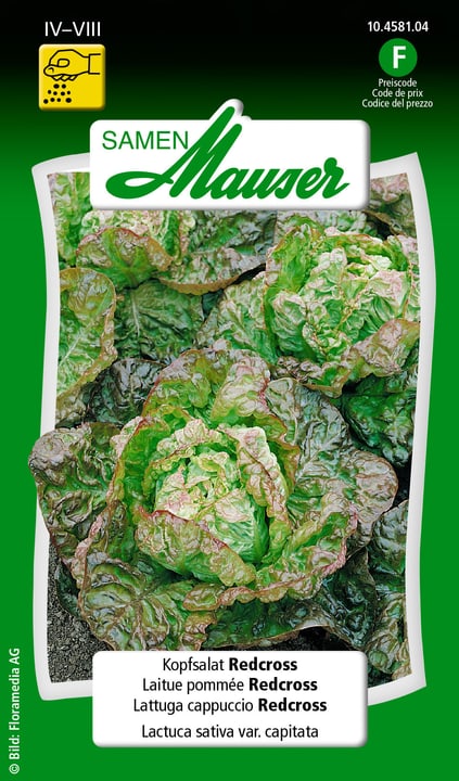 Image of Samen Mauser Kopfsalat Redcross Gemüsesamen bei Do it + Garden von Migros