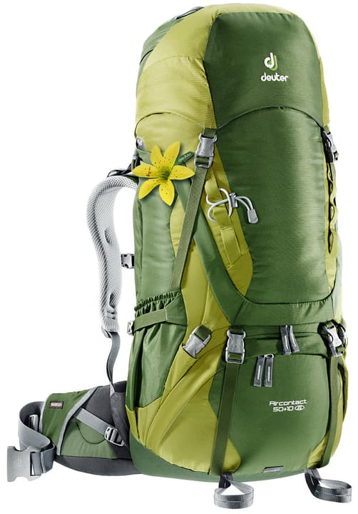 Deuter Aircontact 50+10 SL Damen-Rucksack Aircontact 50+10 SL Damen-Rucksack Deuter 460222700068 Farbe moos Grösse Einheitsgrösse Bild-Nr. 1