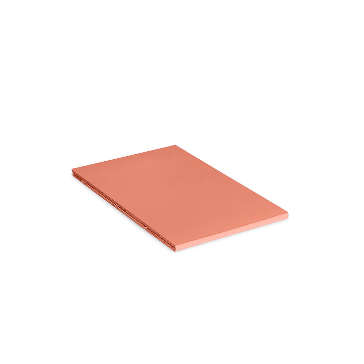 VIDO rayon / paroi de séparation D VIDO rayon / paroi de séparation D 362011375413 Dimensions L: 18.0 cm x P: 29.6 cm x H: 1.2 cm Couleur Terracotta Photo no. 1