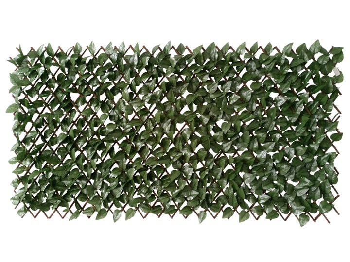 Image of Sichtschutz mit Apfel Blättern Sichtschutzmatte bei Do it + Garden von Migros