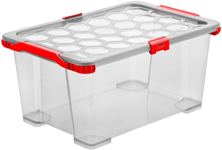 Image of Rotho Evo Total, 2er Set Aufbewahrungsbox
