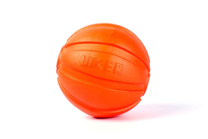 Image of Liker Ball gross, Ø 9 cm Hundeball