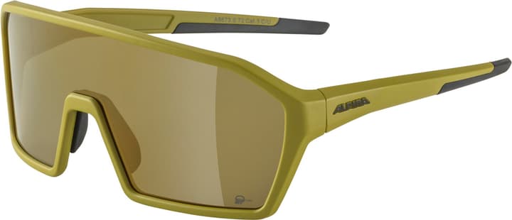 Image of Alpina Ram Q-Lite Sportbrille grün