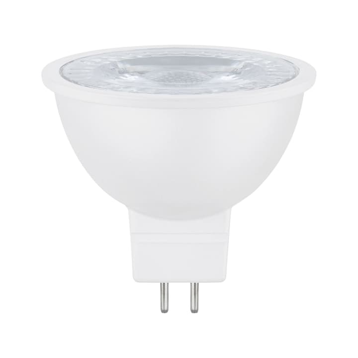 Image of Paulmann White 6,5 W LED Lampe bei Do it + Garden von Migros