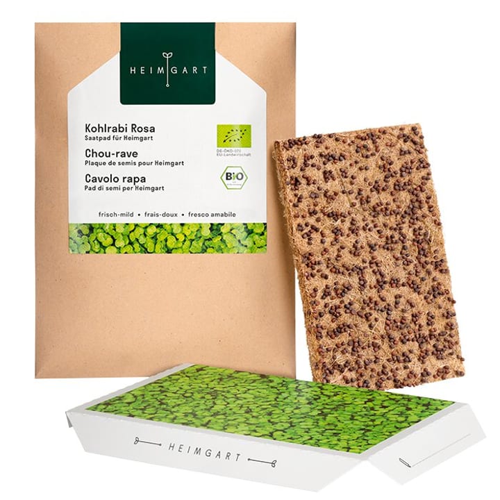 Image of Heimgart Kohlrabi Sprossen und Keimlinge bei Do it + Garden von Migros