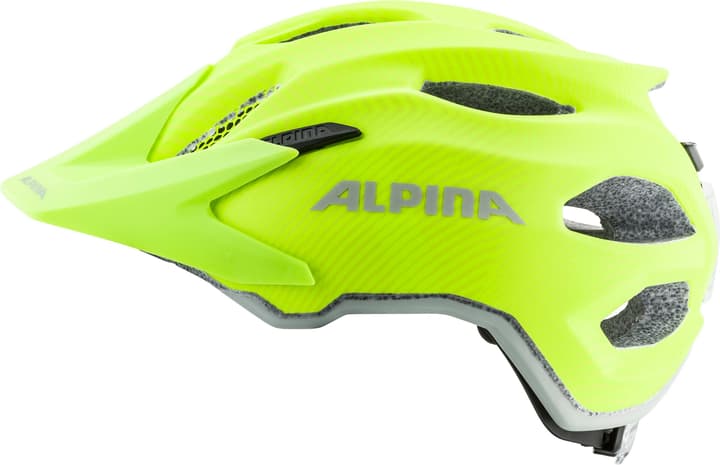 Image of Alpina Carapax JR. Flash Velohelm mehrfarbig