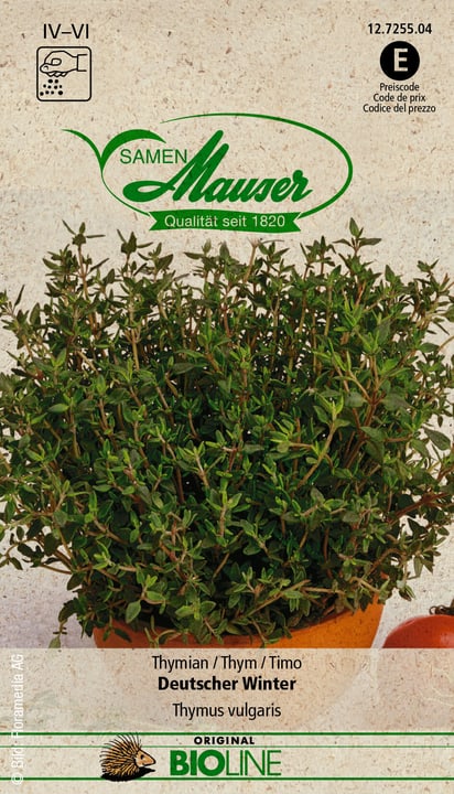 Image of Samen Mauser BIO Thymian Deutscher Winter Kräutersamen