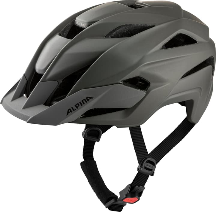 Image of Alpina Kamloop Velohelm dunkelgrau