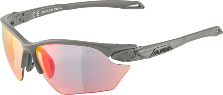 Image of Alpina Twist Five S HR QV Sportbrille grau