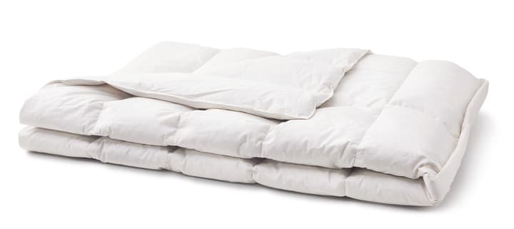 PRIMADAUN WARM Couette en plumettes PRIMADAUN WARM Couette en plumettes 451741012510 Couleur Blanc Dimensions L: 200.0 cm x H: 210.0 cm Photo no. 1