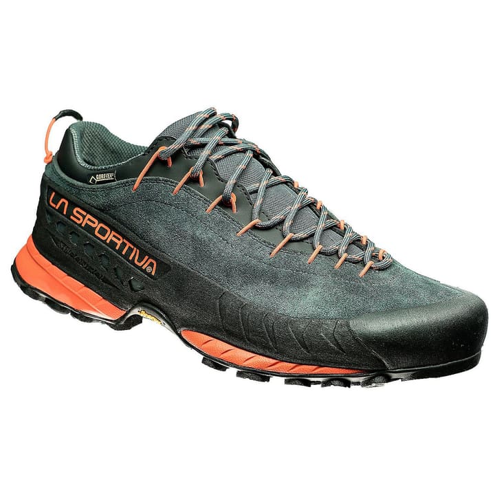 Image of La Sportiva TX4 GTX Wanderschuhe grau