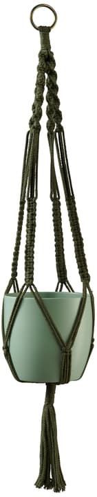 Image of Soendgen Übertopf Zubehör Makrameehänger bei Do it + Garden von Migros