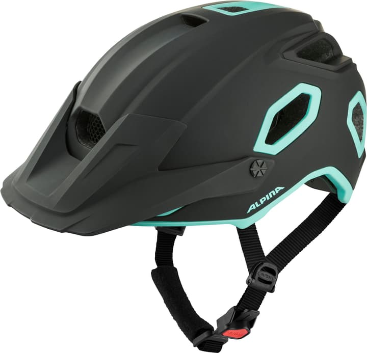 Image of Alpina Croot Mips Velohelm kohle