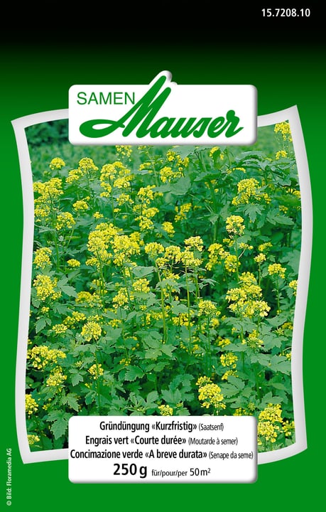 Image of Samen Mauser Gründüngung kurzfristig 250 g Blumensamen bei Do it + Garden von Migros