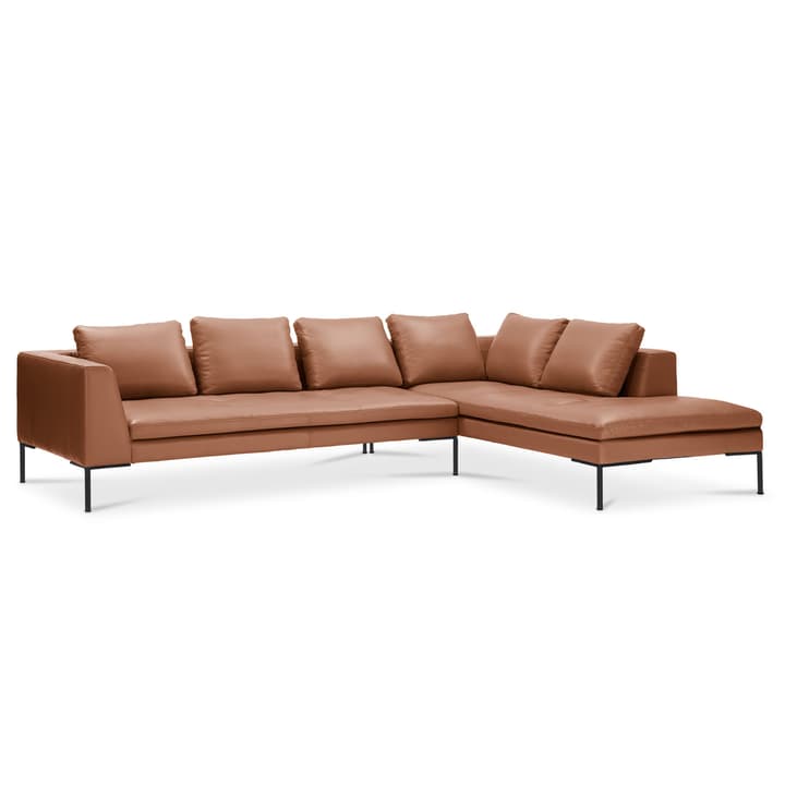 BRANDON Divano ad angolo 3p/Rec BRANDON Divano ad angolo 3p/Rec 366127050270 Dimensioni L: 319.0 cm x P: 230.0 cm x A: 86.0 cm Colore Marrone N. figura 1