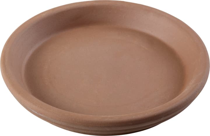 Deroma Sottovaso in terracotta Sottovaso in terracotta Deroma 659531600000 Taglio ø: 17.0 cm x A: 2.5 cm Colore Mocca N. figura 1