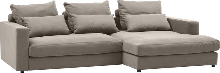 Ecksofa DARWIN